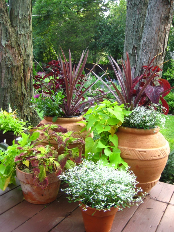 herb-garden-containers-for-decks-27_3 Билкови градински контейнери за палуби