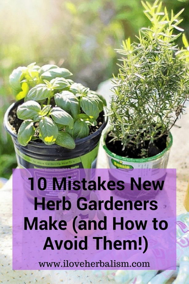herb-garden-in-pots-ideas-16_14 Билкова градина в саксии идеи