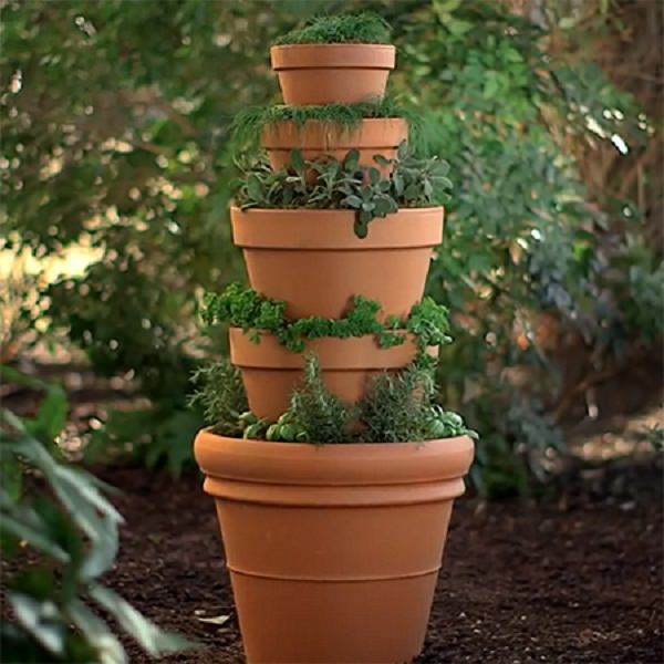 herb-garden-in-pots-ideas-16_15 Билкова градина в саксии идеи