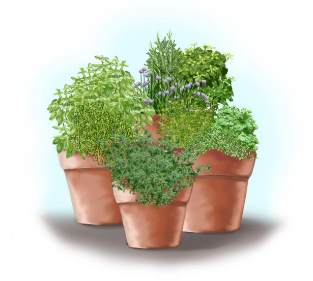 herb-garden-in-pots-ideas-16_17 Билкова градина в саксии идеи