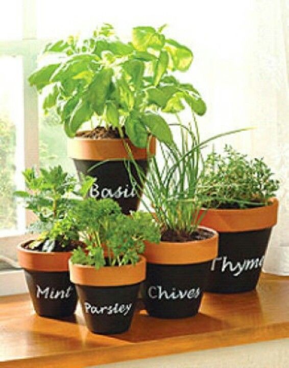herb-garden-in-pots-ideas-16_5 Билкова градина в саксии идеи