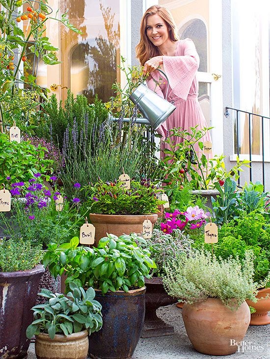 herb-garden-in-pots-ideas-16_6 Билкова градина в саксии идеи