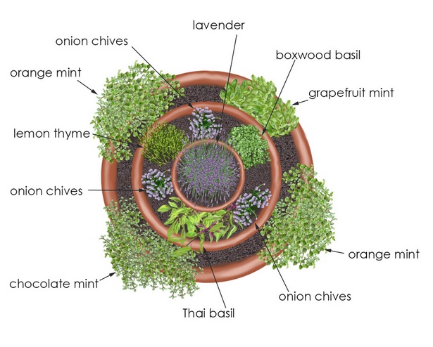 herb-garden-in-pots-ideas-16_8 Билкова градина в саксии идеи