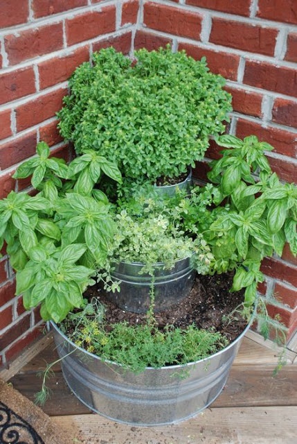 herb-garden-pot-ideas-65_11 Билкова Градинска саксия идеи