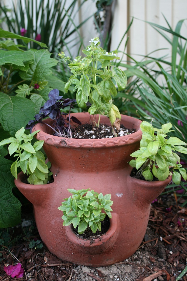 herb-garden-pot-ideas-65_12 Билкова Градинска саксия идеи