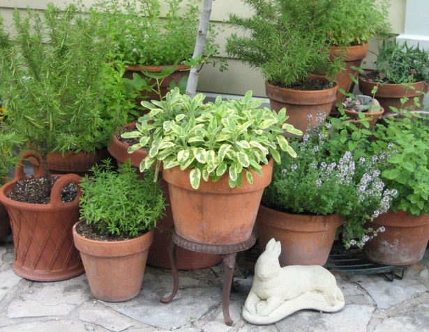herb-garden-pot-ideas-65_17 Билкова Градинска саксия идеи