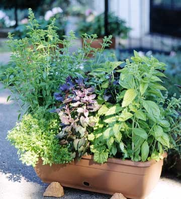 herb-garden-pot-ideas-65_18 Билкова Градинска саксия идеи