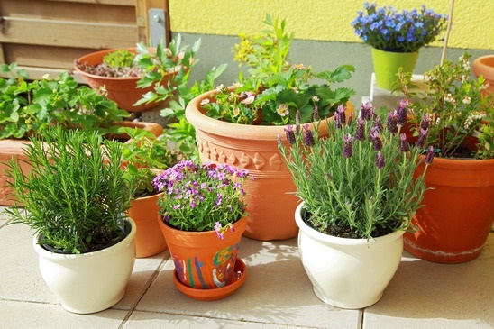herb-garden-pot-ideas-65_5 Билкова Градинска саксия идеи