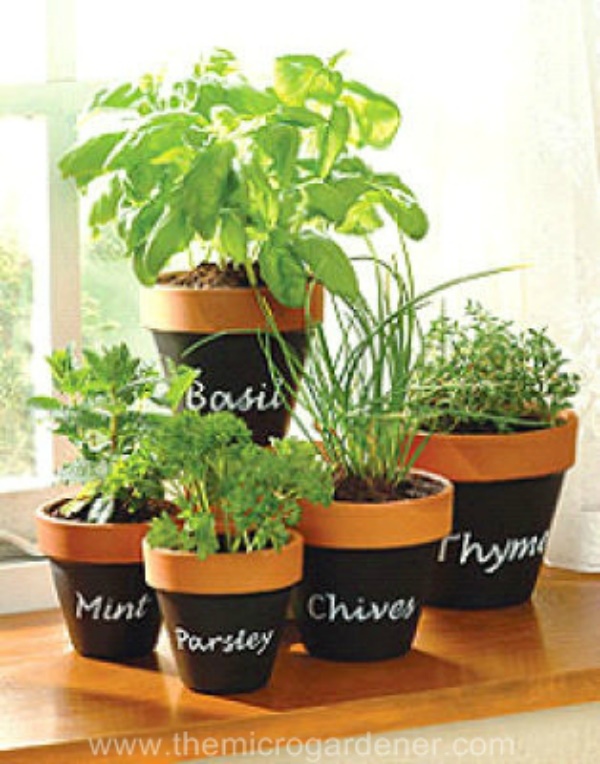 herb-garden-pot-ideas-65_8 Билкова Градинска саксия идеи