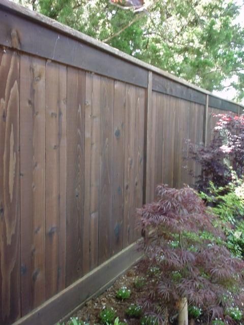 high-garden-fence-ideas-43_5 Висока градина ограда идеи