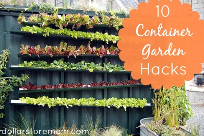ideas-for-container-gardens-99_14 Идеи за контейнерни градини