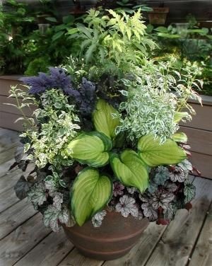 ideas-for-container-planting-43_3 Идеи за засаждане на контейнери