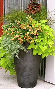 ideas-for-flower-pots-arrangements-51_4 Идеи за саксии за цветя
