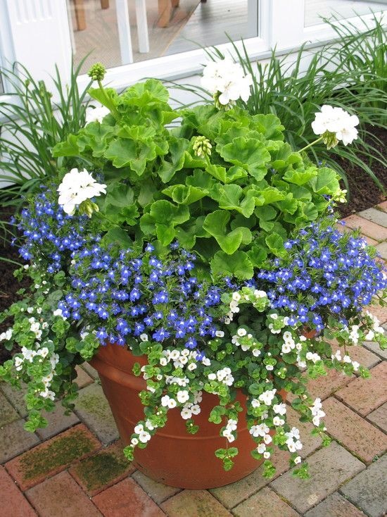 ideas-for-flower-pots-arrangements-51_8 Идеи за саксии за цветя