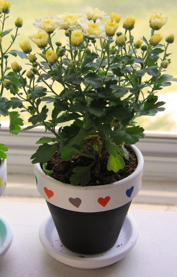 ideas-for-flower-pots-36_10 Идеи за саксии за цветя