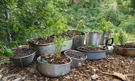 ideas-for-garden-containers-27_18 Идеи за градински контейнери