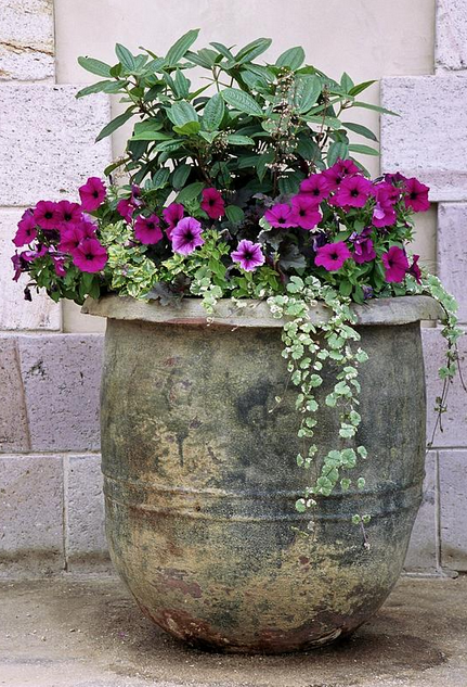 ideas-for-garden-pots-and-planters-80 Идеи за градински саксии и саксии