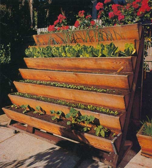 ideas-for-herb-garden-containers-55_11 Идеи за контейнери за билкова градина