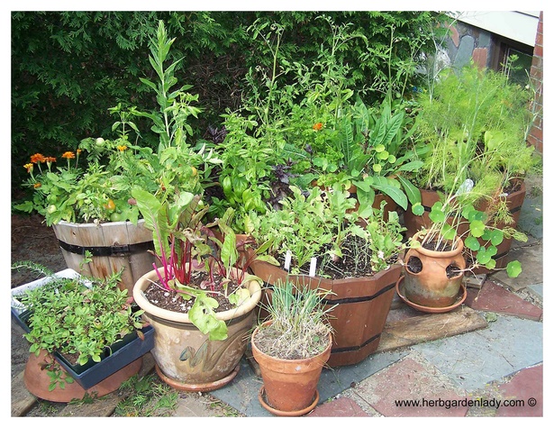 ideas-for-herb-garden-containers-55_5 Идеи за контейнери за билкова градина