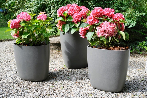 ideas-for-large-flower-pots-75_13 Идеи за големи саксии за цветя