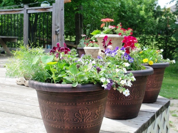 ideas-for-large-flower-pots-75_4 Идеи за големи саксии за цветя