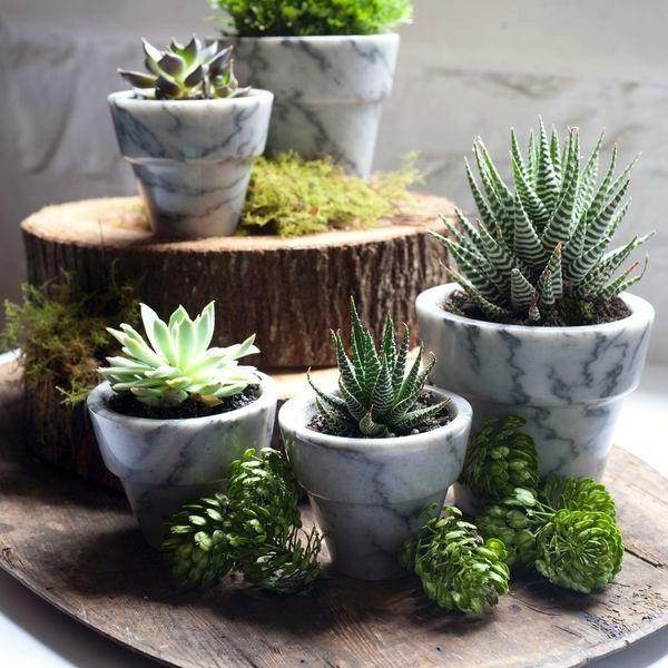 ideas-for-plant-pots-47 Идеи за саксии за растения