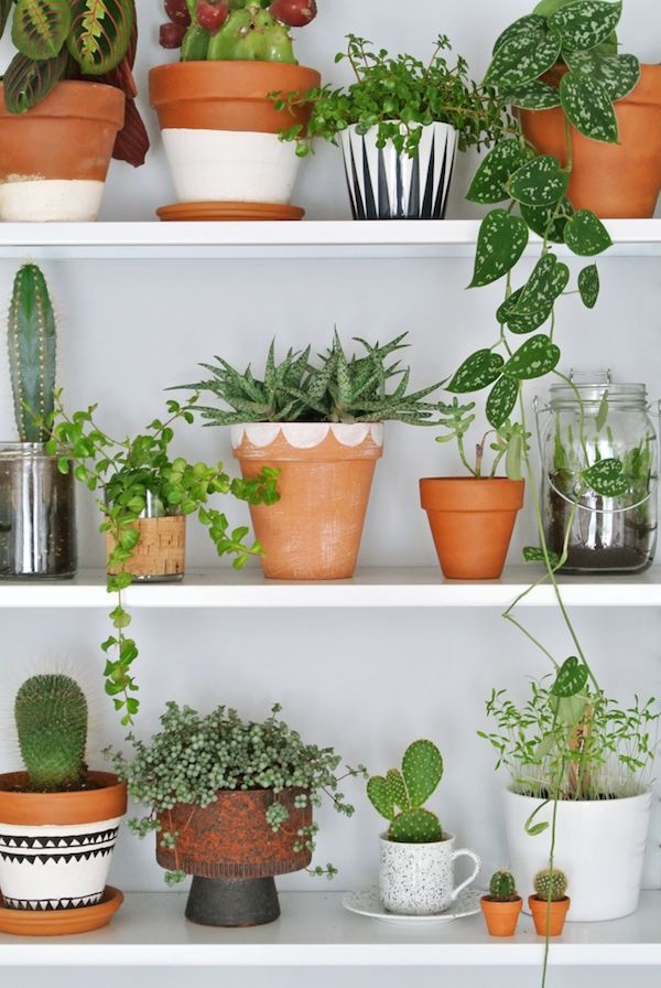ideas-for-plant-pots-47_3 Идеи за саксии за растения