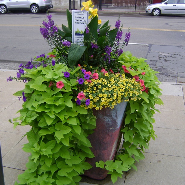 ideas-for-planters-with-flowers-81_8 Идеи за саксии с цветя