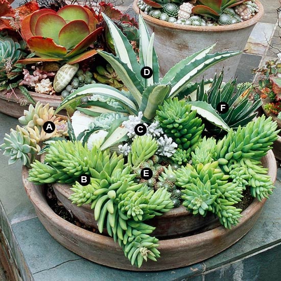 ideas-for-planting-containers-86_10 Идеи за засаждане на контейнери