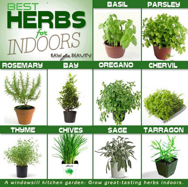 ideas-for-planting-herbs-in-containers-84 Идеи за засаждане на билки в контейнери