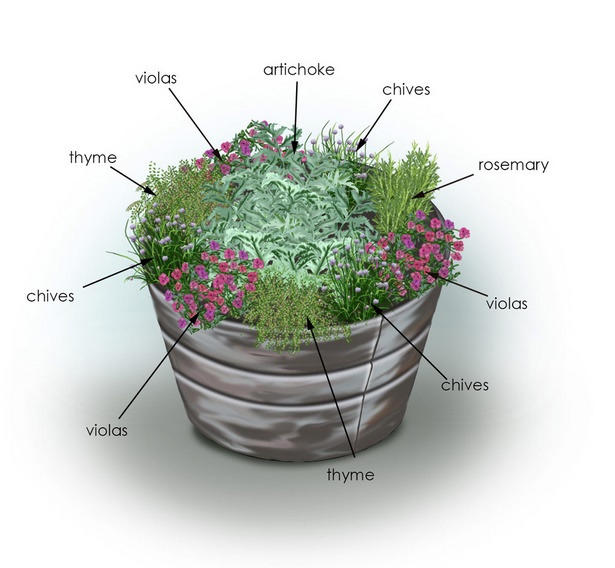 ideas-for-planting-herbs-in-containers-84_7 Идеи за засаждане на билки в контейнери