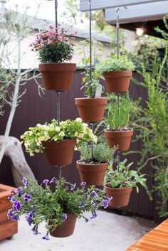 ideas-for-pots-for-plants-19 Идеи за саксии за растения