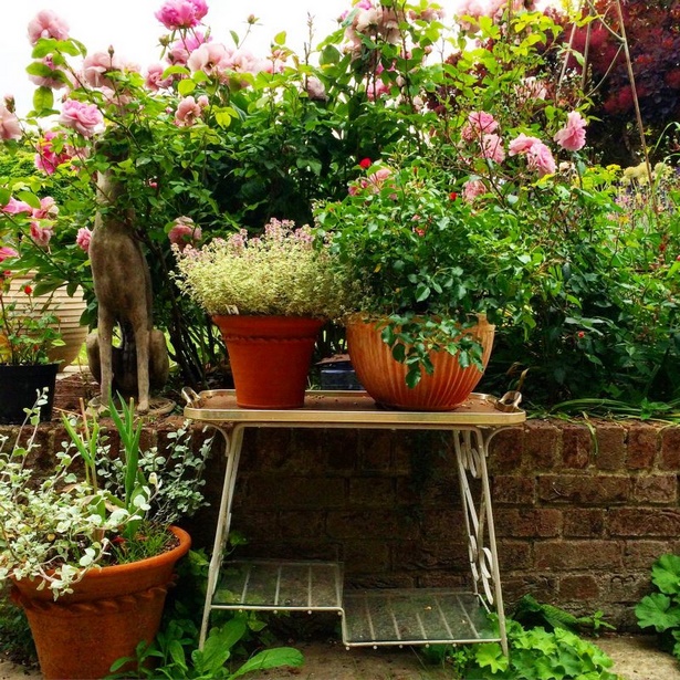 ideas-for-pots-in-garden-75_7 Идеи за саксии в градината