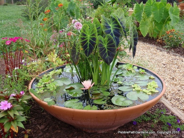 ideas-for-pots-in-garden-75_8 Идеи за саксии в градината