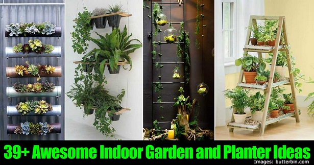 indoor-flower-pot-ideas-51_6 Интериорни идеи за саксия