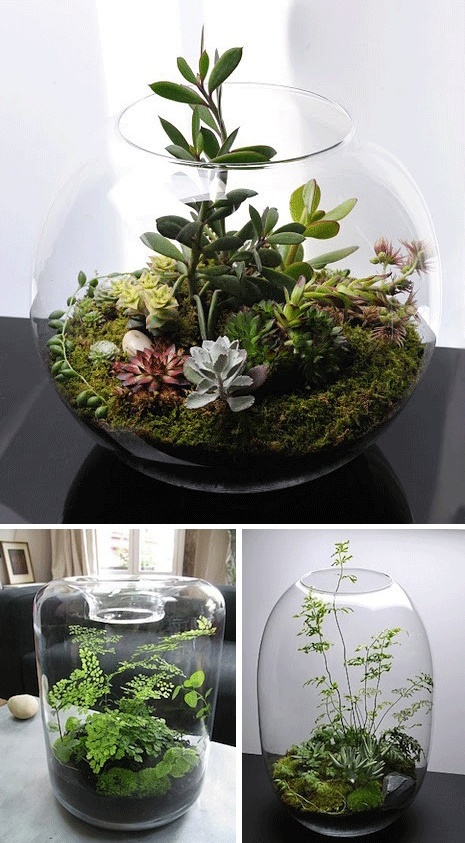 indoor-flower-pot-ideas-51_7 Интериорни идеи за саксия