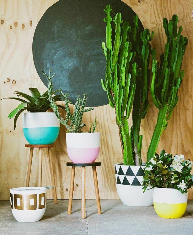indoor-potted-plant-ideas-47 Вътрешни саксийни растения идеи