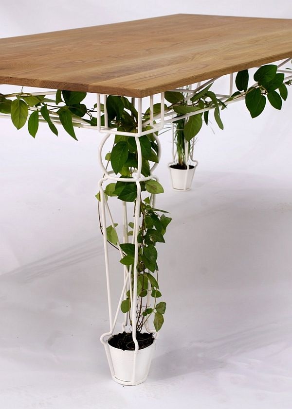 indoor-potted-plant-ideas-47_11 Вътрешни саксийни растения идеи