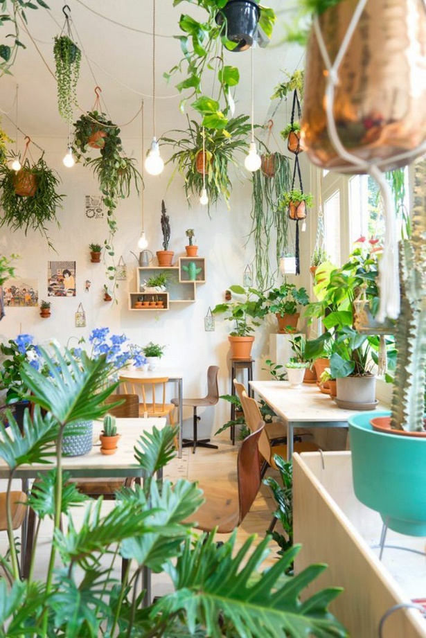 indoor-potted-plant-ideas-47_12 Вътрешни саксийни растения идеи