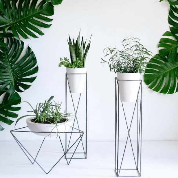 indoor-potted-plant-ideas-47_13 Вътрешни саксийни растения идеи