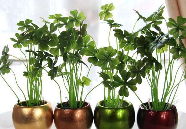 indoor-potted-plant-ideas-47_15 Вътрешни саксийни растения идеи