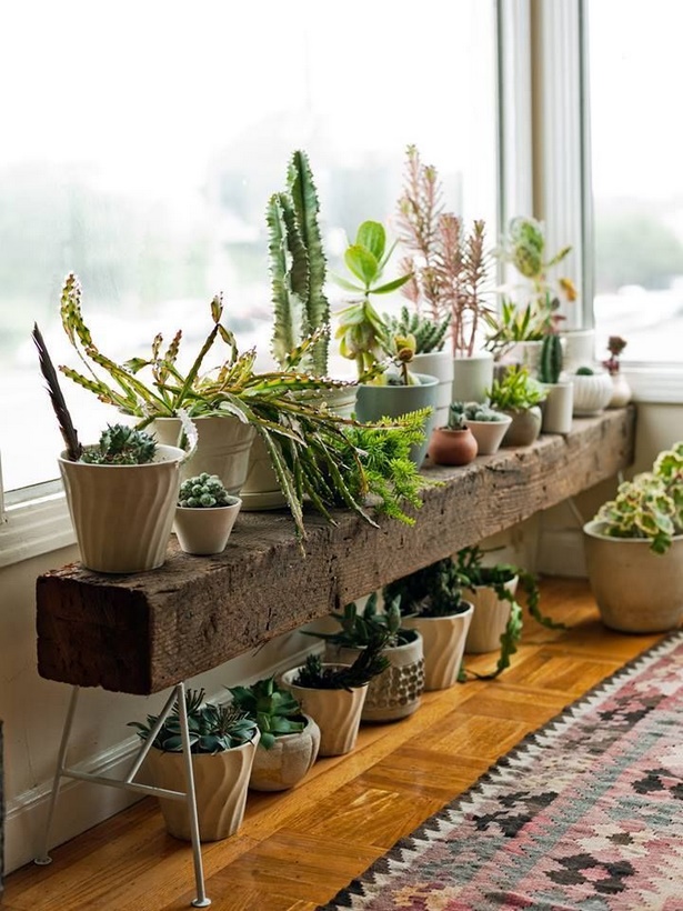 indoor-potted-plant-ideas-47_18 Вътрешни саксийни растения идеи