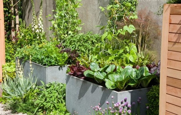 kitchen-garden-in-pots-25_2 Кухня градина в саксии