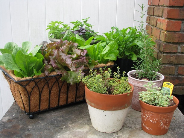 kitchen-garden-in-pots-25_4 Кухня градина в саксии