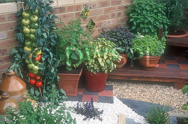 kitchen-garden-in-pots-25_5 Кухня градина в саксии