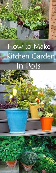 kitchen-garden-pots-87_10 Кухненски градински саксии