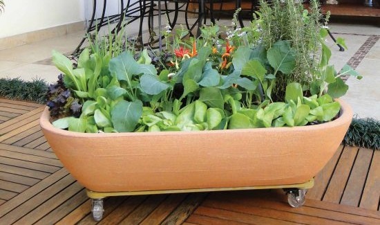 kitchen-garden-pots-87_5 Кухненски градински саксии