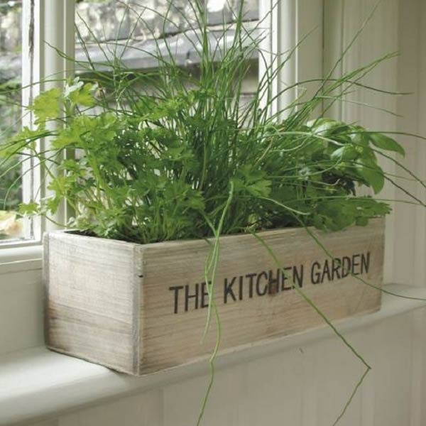 kitchen-garden-pots-87_6 Кухненски градински саксии