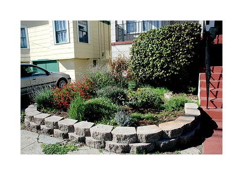 landscaping-townhouse-front-yard-56_2 Озеленяване градска къща преден двор