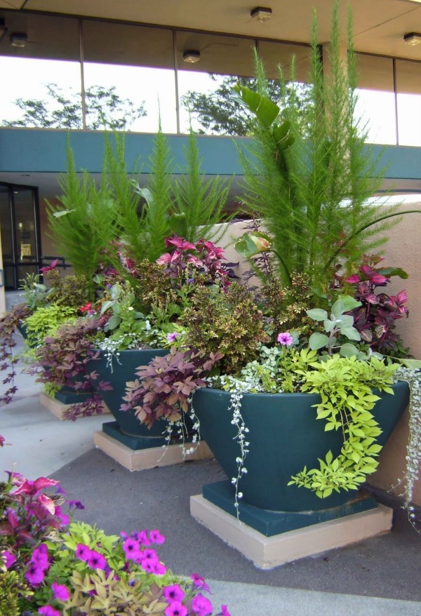 landscaping-with-flower-pots-76_8 Озеленяване с саксии за цветя
